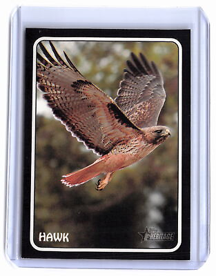 #ad 2024 Topps Heritage #75Z 14 Hawk 1975 Topps Zoo#x27;s Who Stick Ons $3.00