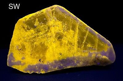 #ad 114 CT Very Rare Full Terminated Fluorescent Yellow Apatite Transparent Crystal $99.99
