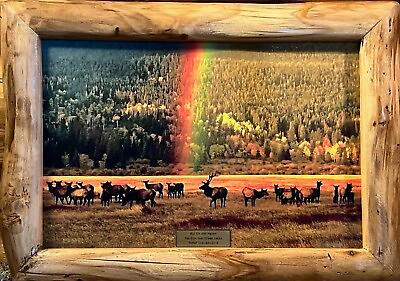 #ad RMNP Aspen Framed “Rainbow Elk” 22” X 16” Canvas Print @ The Sheep Lakes NEW $165.00