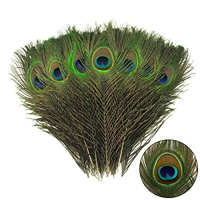#ad THARAHT 12pcs Peacock Feather Natural in Bulk 10 12 inch 25 30cm for Craft Va $7.68