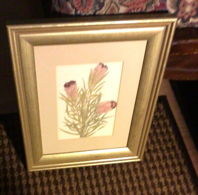 #ad lovely Signed And Framed Plant With Three Blooms And Many Leaves Print $15.00