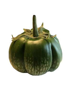 #ad 30 cambodian Green Giant Eggplant Seeds Grown Organically Non GMO $2.99