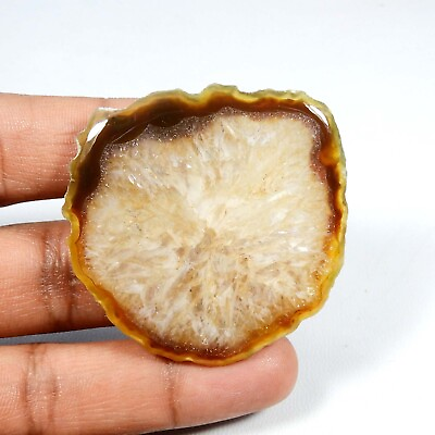 #ad Natural Slice Agate Druzy Cabochon Loose Geode Brown Gemstone 92 Cts SD 487 $8.04