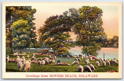 #ad Postcard DE Scenic Greetings From Bowers Beach Delaware c1940s Linen AP15 $24.99