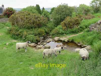 #ad Photo 6x4 Sheep grazing on Ilkley Moor Three rams and a sheep grazing on c2021 GBP 2.00