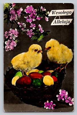 #ad RPPC Studio Basket Chicks Eggs Real Photo Easter P658 $7.99