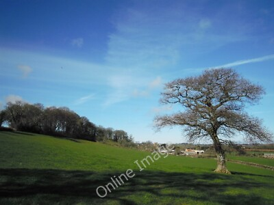 #ad Photo 6x4 Dodington. The beech grove Dodington ST1740 The beech grove ab c2011 GBP 2.00