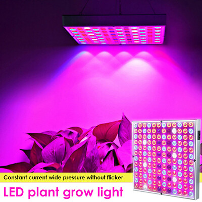 #ad 800W LED Grow Light Full Spectrum Plant Growing Lamp Kit for Indoor Veg Flowers $23.01