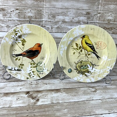 #ad Set Of 2 Cypress Home “Birds” Plates 8” $21.99