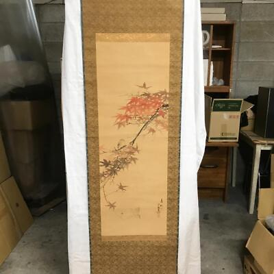 #ad Hanging Scroll Hanging Scroll Mashiro Old Antique Autumn Leaves Warbler $139.64