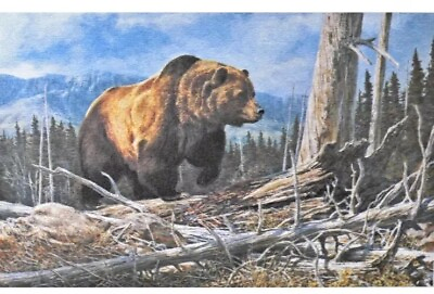 #ad Tom Beecham Artist Signed And Numbered Grizzly Bear Lithograph Print $27.99