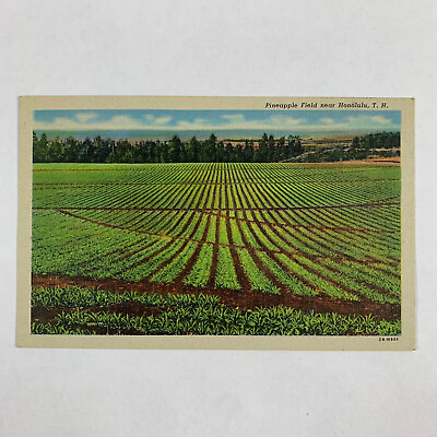 #ad Postcard Hawaii Territory Honolulu Pinneapple Field 1940s Linen Unposted $1.00