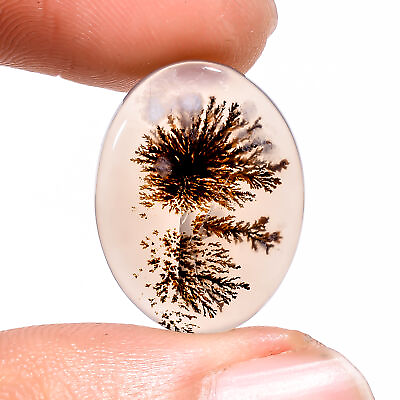 #ad 07.50Cts. Natural Scenic Dendrite Agate Oval 19X14X2 MM Cabochon Loose Gemstone $14.70