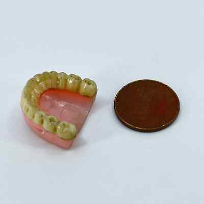 #ad Vintage Cracker Jack Gumball Prize Charm False Teeth Celluloid Premium SD1 $17.00