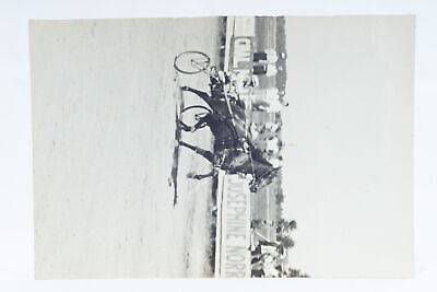 #ad Horse Trotting Homestretch 1940s Thoroughbred Horse Harness Racing Pittsburgh PA $14.99