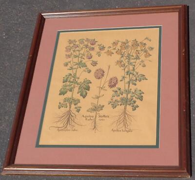 #ad Floral Lithograph Print – FRAMED AND MATTED – VGC – BEAUTIFUL STYLE NICE PIECE $99.99