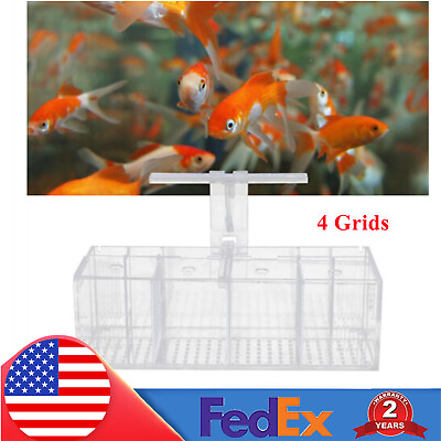 #ad Aquaponic Fish Tank 4 Grids Desktop Fish Tank Rectangle Acrylic Betta Fish Tank $54.86