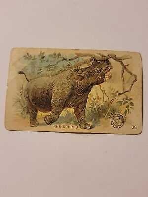 #ad Antique Arm And Hammer Trading Card Card Rhinoceros #38 of 60 1892 Church And Co $9.95