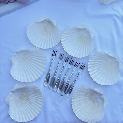 #ad Vintage French Seashells Baking 6 Shells W 6 forks Japan LilLian Vernon NIB $25.88
