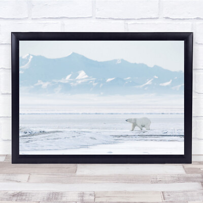 #ad Polar bear Wildlife Animal Alaska Ice Snow Mountain Polar Bear Wall Art Print GBP 31.96