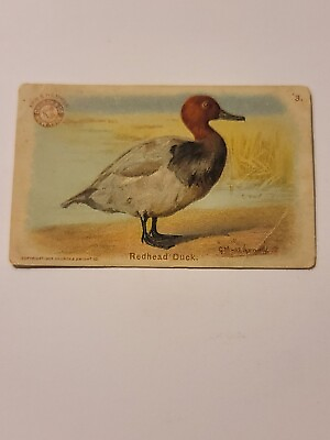 #ad Antique Arm And Hammer Redhead Duck Trade Card 1904 Church And Dwight See Photos $9.95