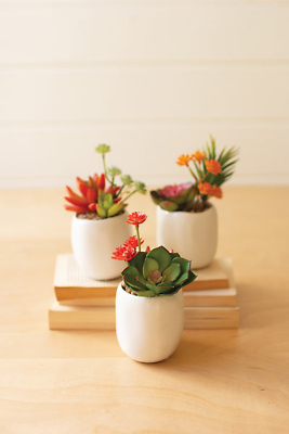 #ad Set Of Three Artificial Succulent Plants In A White Pot Green Red White $76.43