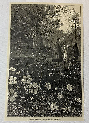 #ad 1885 magazine engraving Women And Children In The Forest IN THE SPRING $7.25