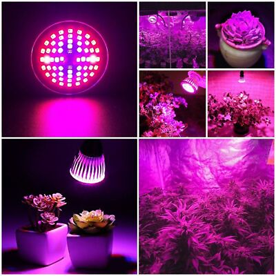#ad New LED Greenhouse E27 Plant Grow Light Light Bulb Full Spectrum Grow Lights AU $16.59