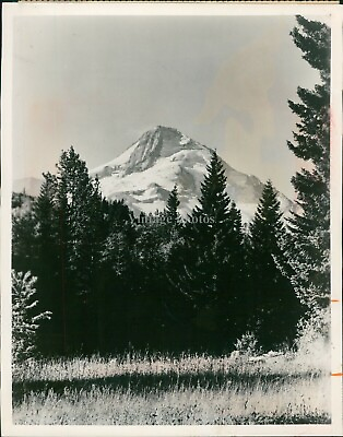 #ad 1964 Landscape Mount Hood Volcano Oregon Government Camp 8X10 Vintage Photo $24.99