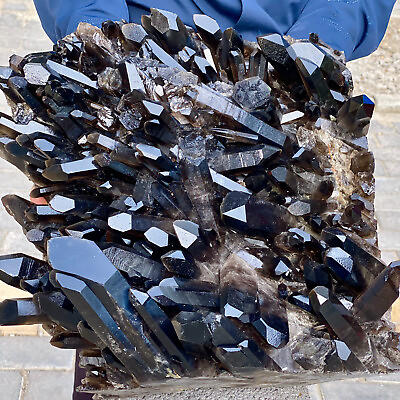 #ad 44.17LB Natural Beautiful Black Quartz Crystal Cluster Mineral Specimen. $1680.00