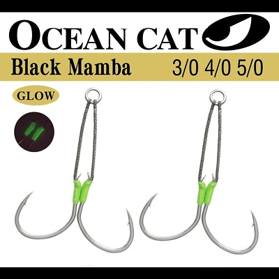 #ad OCEAN CAT Assist Hook Black Mamba Steel Mamba Hook Jigs Circle Fishing Hooks $9.38