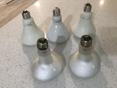 #ad 120 volt led light bulbs $6.00