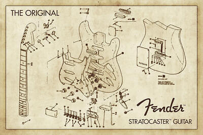#ad Fender Stratocaster Guitar Diagram Poster 36quot; x 24quot; $13.49