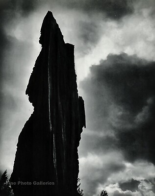 #ad 1950s Vintage CEDRIC WRIGHT Stump in Thunderstorm Sky Photo Gravure Art 11x14 $137.13