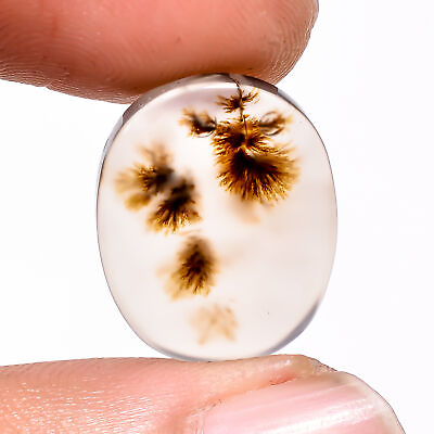 #ad 06.00Cts. Natural Scenic Dendrite Agate Oval 16X13X2 MM Cabochon Loose Gemstone $13.49