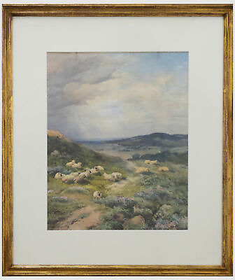 #ad Framed Late 19th Century Watercolour Sheep on the Hillside $344.85