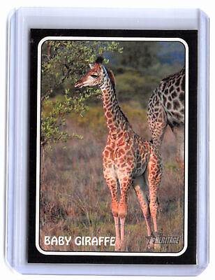 #ad 2024 Topps Heritage #75Z 11 Baby Giraffe 1975 Topps Zoo#x27;s Who Stick Ons $3.00