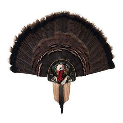 #ad Walnut Hollow Country Turkey Fan Mount amp; Display Kit Oak with Turkey Profile $39.09