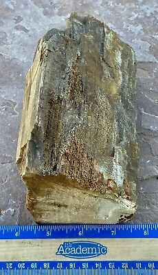 #ad 4.2 Lb Petrified Fossil Wood Natural Wedge Shaped Tons Of Druzy W Great Color $28.00