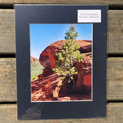 #ad Original Photography Print Matted 8x10 Picture Tree Growing from Rock Sedona AZ $14.00