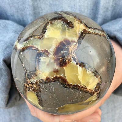 #ad Natural Dragon Septarian Sphere Quartz Crystal Ball Healing 1PC $49.83