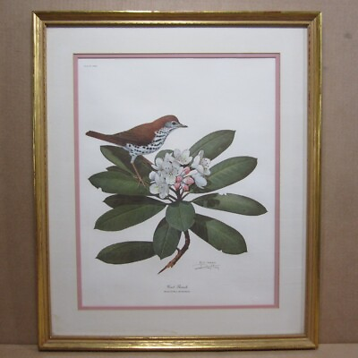 #ad Ray Harm Wood Thrush 16quot; x 20quot; Bird Print in Gilt Frame Signed $129.95