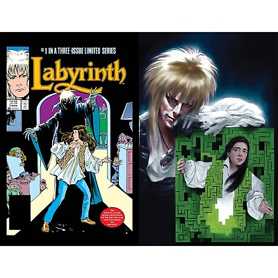 #ad Jim Henson Labyrinth 1986 Archive Edition 1 BOOM Studios COVER SELECT $4.88