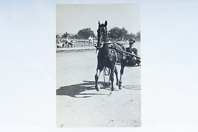 #ad Vintage Horse Harness Racing Jockey amp; Horse Trotting #12 $14.99