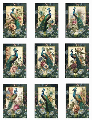 #ad Beautiful Peacock Floral A Designer MULTI SIZE SET Cotton Fabric Quilt Blocks $13.50