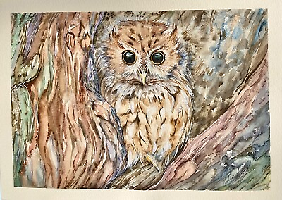 #ad Owl Watercolor Original Painting Bird Owl $390.00