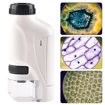 #ad LED Light Portable Microscope Handheld Microscope Kit 60 120X Pocket Microscope $15.19