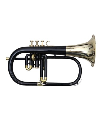#ad Flugel Horn 3 Valve Black Brass BB Pitch Tune with Hardcase amp; Mouthpiece $164.50