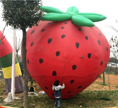 #ad 2 3 4 5m advertising inflatable strawberry fruit festival customized model 2021 $372.69