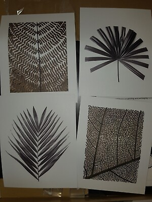 #ad 11.25quot;x9.25quot; Set Of 4 Leaf Plant Art Prints Black Frames $39.99